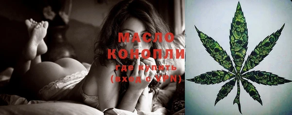 крисы Богородицк