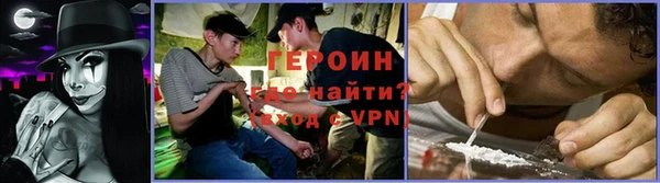 крисы Богородицк