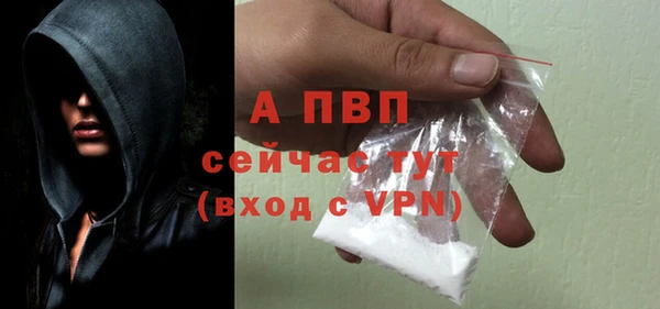 крисы Богородицк