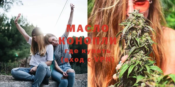крисы Богородицк