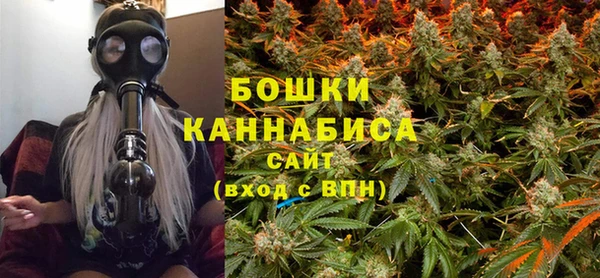 крисы Богородицк