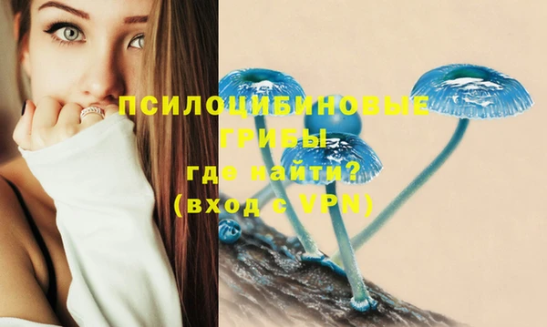 крисы Богородицк