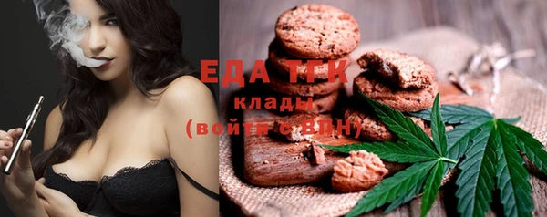 крисы Богородицк