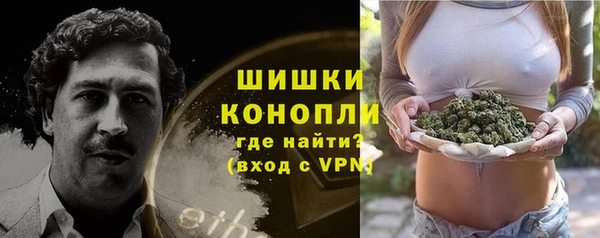 крисы Богородицк