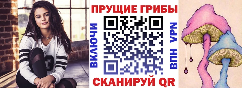 купить  сайты  Долинск  Галлюциногенные грибы Cubensis 